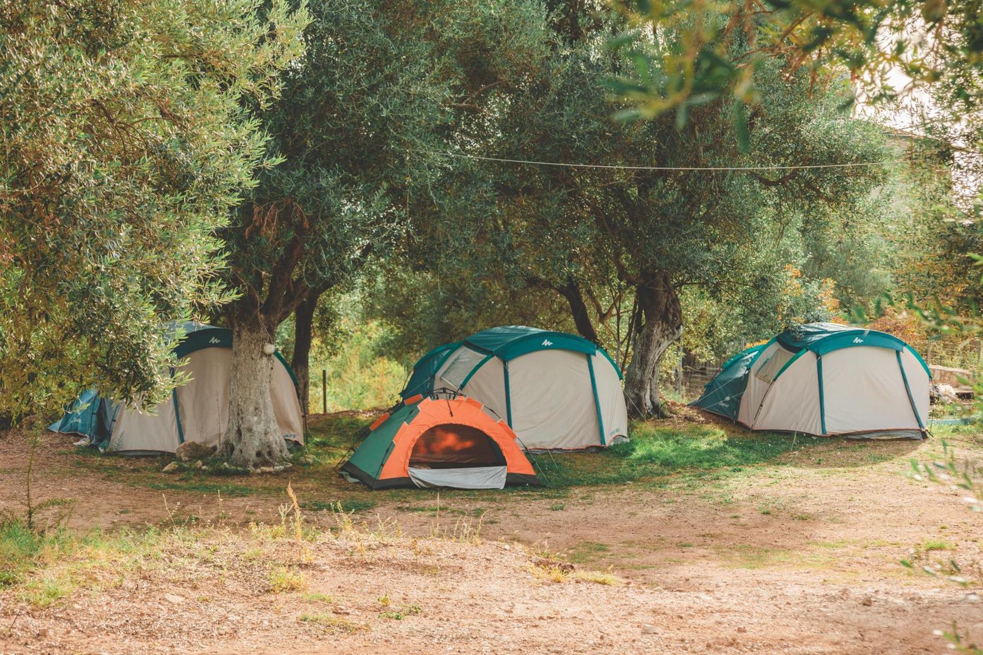 Отель Olive Camping Химара Экстерьер фото