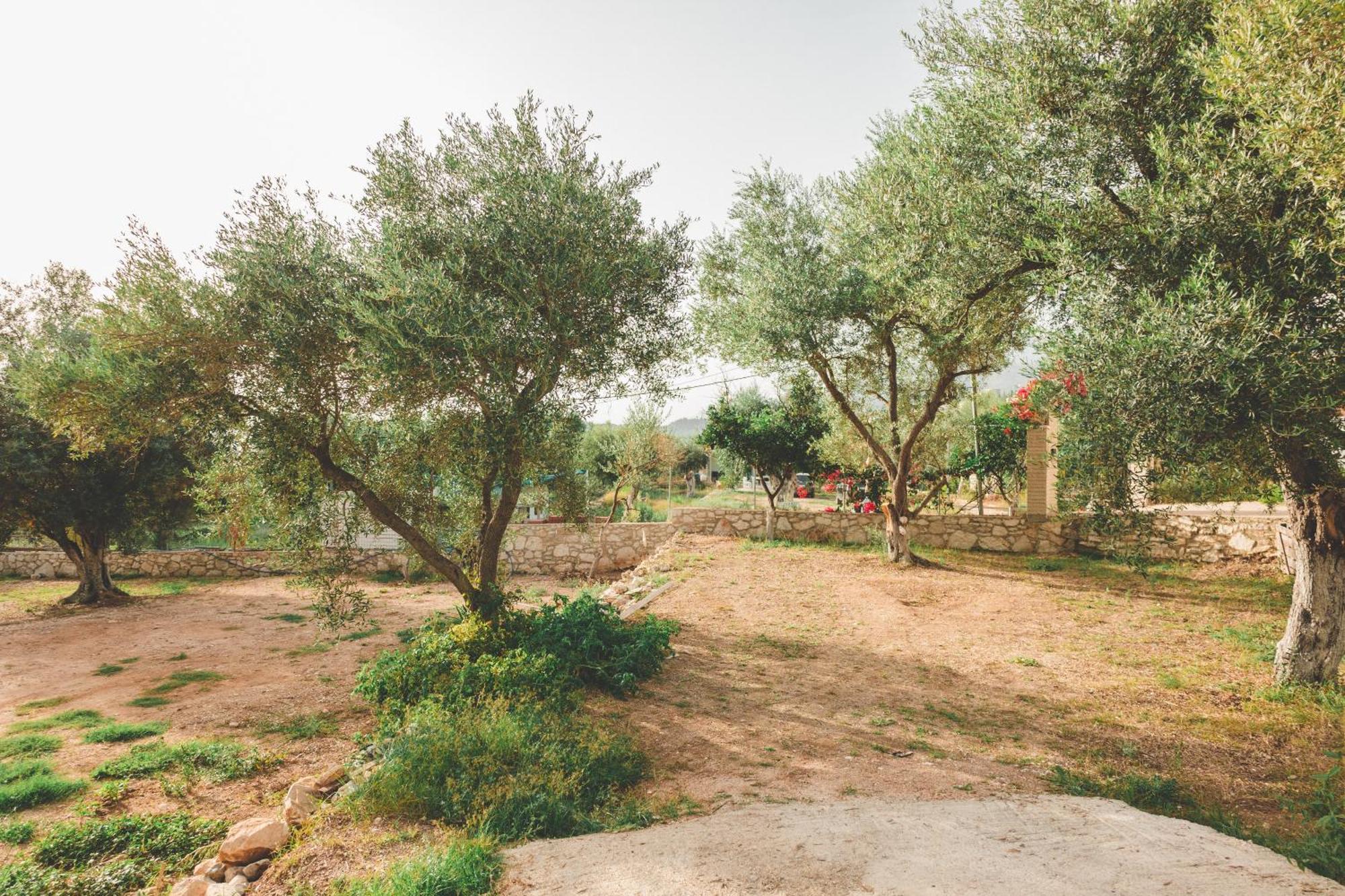 Olive Camping Химара Экстерьер фото