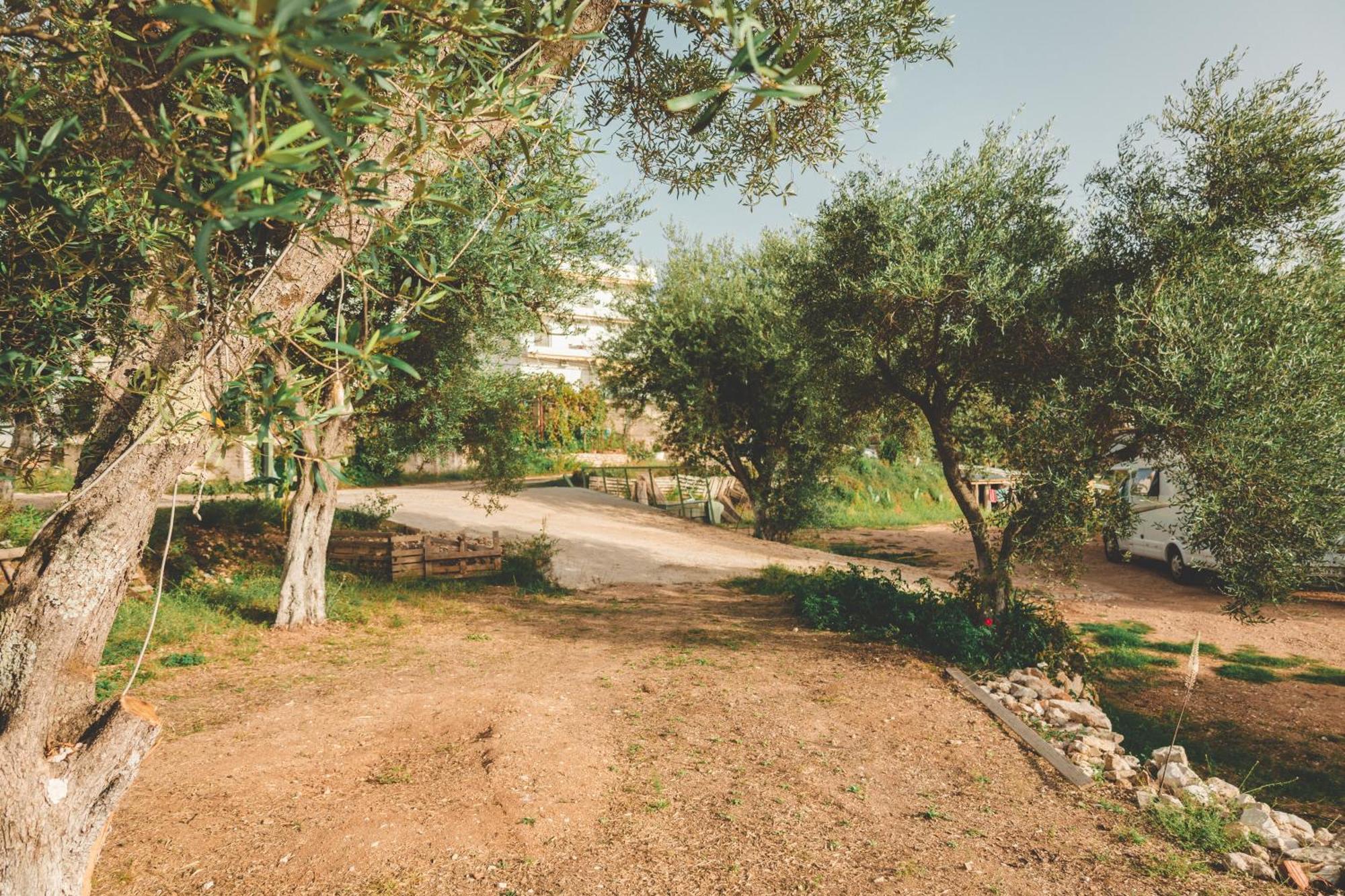 Olive Camping Химара Экстерьер фото